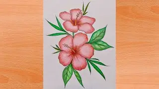 How to Draw Hibiscus 🌺 Flower Easily
