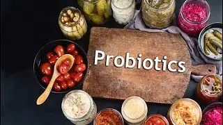 Probiotic Gummies with DE111®: The Ultimate Gut & Immune Health Solution! 🌟