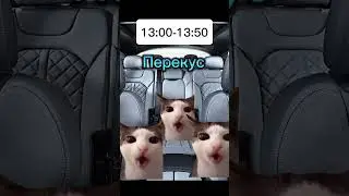 Пов: семейная поездка 