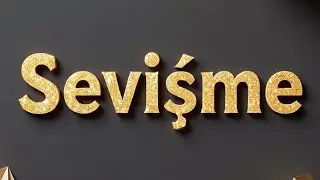 What is the Meaning of Sevisme