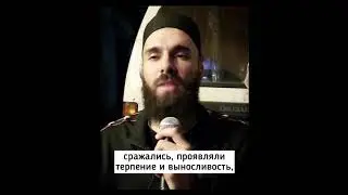11 июня 2023 г.