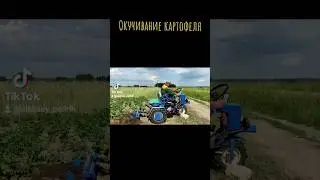 МОТОБЛОК МТЗ БЕЛАРУС, ОКУЧИВАНИЕ КАРТОФЕЛЯ 