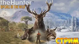 🔴The Hunter Call of The Wild - Заказник Хиршфельден🔴