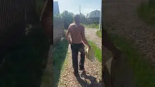 Неугомонный дед #дед #дедус #юмор #ufc