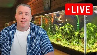 Sunday Aquarium School Live Episode 293