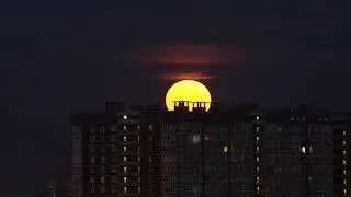 билетика не найдется?