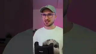 Hamster Kombat или Mr Beasr ? кто круче?
