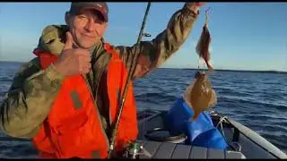 🎣3️⃣0️⃣КГ КАМБАЛЫ🐠|🌊СУХОЕ МОРЕ