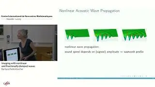 Barbara Kaltenbacher: Imaging with nonlinear and fractionally damped waves