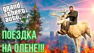 ПОЕЗДКА НА ОЛЕНЕ И ЛЕТАЮЩЕЙ ЯХТЕ!!! - GTA 5 МОНТАЖ (ЖТА 5)