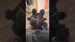 Over 500 Micro locs with two strand twists on short 4 c hair!