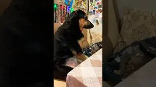 Люсь а Люсь?
