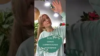 Удивительные подкормки для комнатных растений🌿 #удобрения #комнатныерастения #комнатноецветоводство