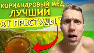 THE MOST HEALTHY HONEY! Coriander honey: the beneficial and healing properties of delicious, natu...
