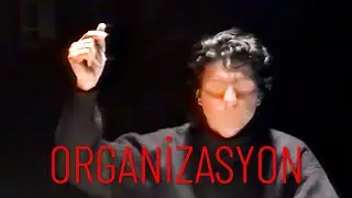 Organizasyon