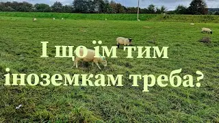 Кажуть показуй гаманець