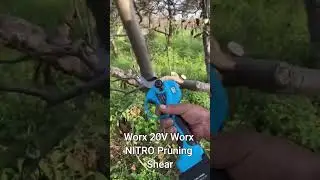 ✅ Revolutionize Your Yard Work with the Worx NITRO Electric Pruner | #shortvideo #shorts