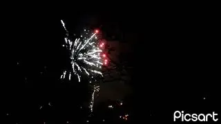 Новый год 2023,фейерверк в Шпандау(Берлин).Флинт и Муся смотрят фейерверк.