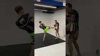 Что предпочитаете, ТИП или САЙД-КИК ???