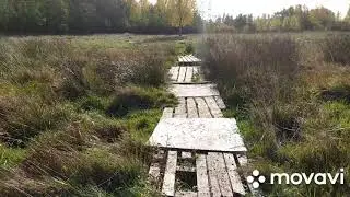 Деревенские будни! Вывожу козлов в поле! Гон у козлов! Пахнет так, что Шанель отдыхает и я тоже!