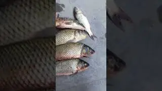 Папа приехал с рыбалки 