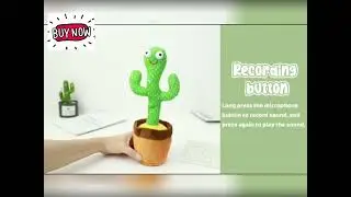 Rechargeable Dancer Cactus Glowing Dancing Captus USB Record Swing Fish Repeat Talking Dance Cactus