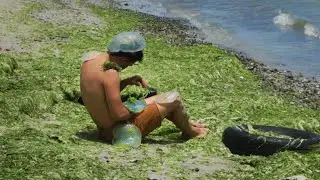 Making a Picture with Jellyfish - How i create when i have zero ideas Part II