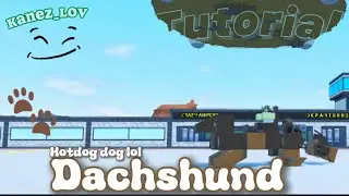 DACHSHUND DOGGYY tutorial |plane crazy