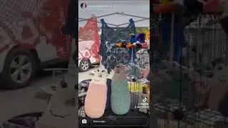 Festival Market 2023