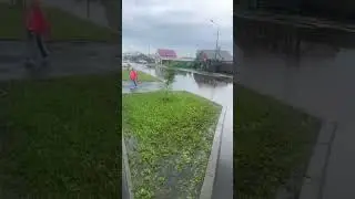 Это у нас прошел дождь!