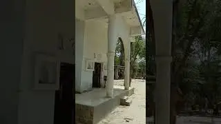 परिजात वृक्ष के दर्शन