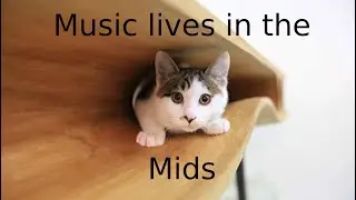Music lives in the mids