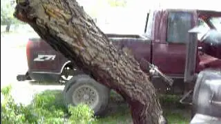 SOUTH TEXAS BBQ
