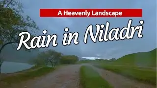 Rain in Niladri Lake | পাহাড়ি কন্যা নীলাদ্রিতে বৃষ্টিস্নান | A Solo Bike Ride