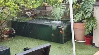 PRIMERAS LLUVIAS EN EL ESTANQUE