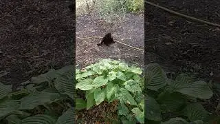 #котБуся 31#августа