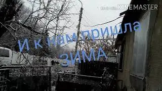 Вот такая у нас зима.... Ну хоть так.... На улице +3😁