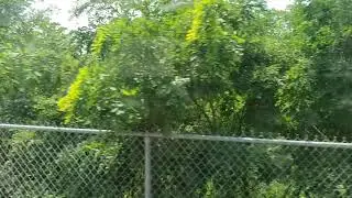 Quick View In West Virginia Mountain