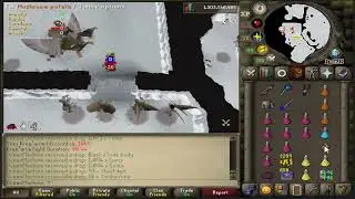Solo Armadyl with Masori and Elysian. 25 KP/h (4-5m gp/h)