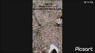Jangal me mangal karte huyee 😅 viral video 2025