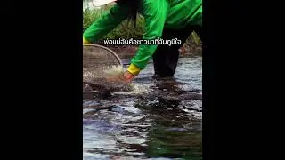 พ่อแม่ฉัน คือชาวนาที่ฉันภูมิใจ #ชาวนา #ชาวนาไทย