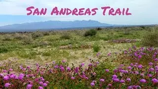 San Andreas Oasis Trail - Salton Sea Hike