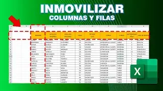 INMOVILIZAR FILAS Y COLUMNAS