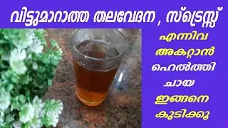 വിട്ടുമാറാത്ത തലവേദന അകറ്റാൻ ഹെൽത്തി ചായ ഇങ്ങനെ കുടിക്കൂ Home Remedies For Migraine Headache