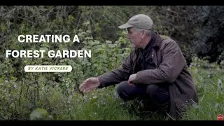 How to Create a Forest Garden