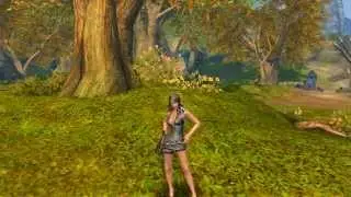AION diferencia entre Asmodianos y Elios