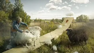 Профессия по Карте?