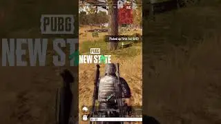 GRAPHICS SETTINGS MAX to LOW IN PUBG NEW STATE ALPHA TEST!