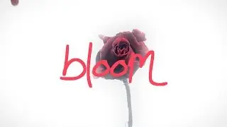 bloom// MEME