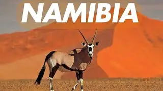 Namibia Safari Adventure: Wildlife and Landscapes